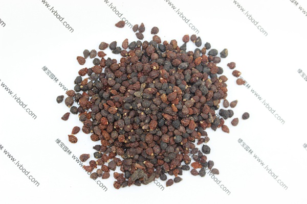 藍(lán)花<a href='http:///caohuazhongzi/1578.html' target='_blank'>鳶尾</a><a href='http:///' target='_blank'>種子</a>