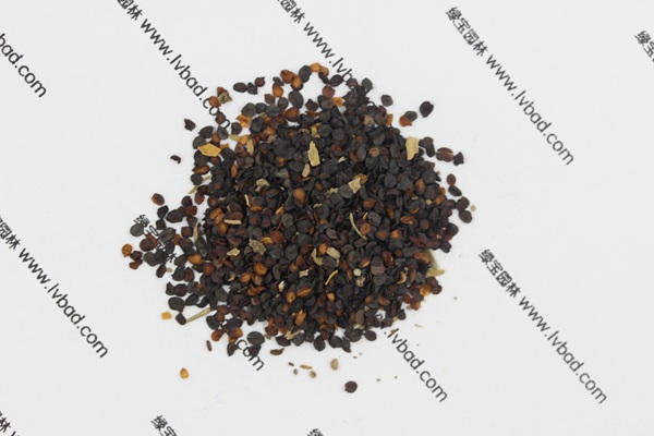 <a href='http:///caohuazhongzi/1574.html' target='_blank'>康乃馨</a><a href='http:///' target='_blank'>種子</a>