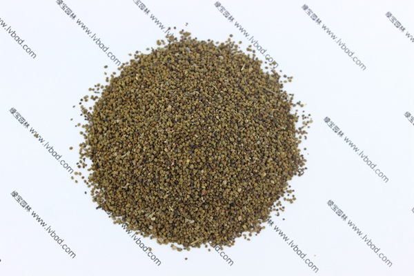 <a href='http:///caohuazhongzi/1022.html' target='_blank'>半枝蓮</a><a href='http:///' target='_blank'>種子</a>