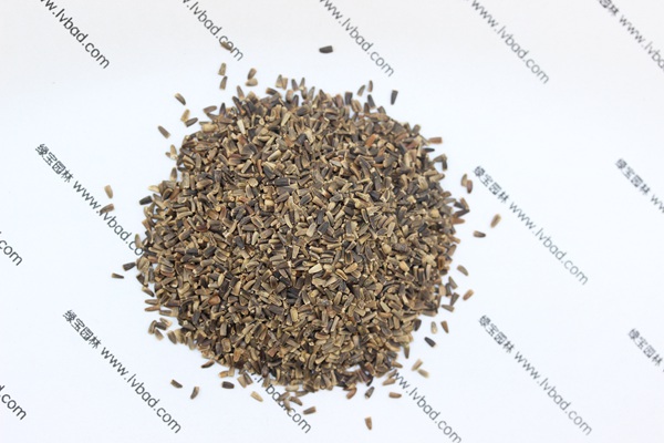 <a href='http:///mucaozhongzi/14254.html' target='_blank'>菊苣</a><a href='http:///' target='_blank'>種子</a>