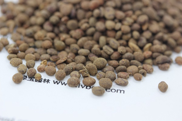 <a href='http:///caohuazhongzi/1655.html' target='_blank'>指甲花</a><a href='http:///' target='_blank'>種子</a>