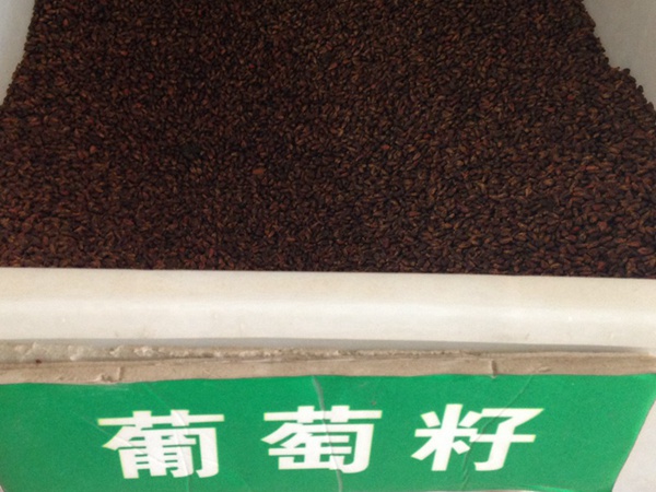 <a href='http:///guoshuzhongzi/1887.html' target='_blank'>葡萄</a><a href='http:///' target='_blank'>種子</a>
