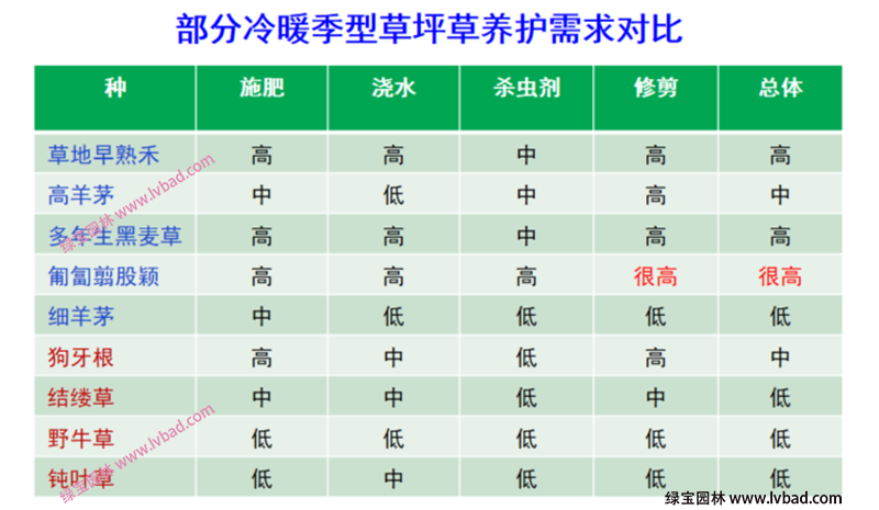 常用冷季型草坪養(yǎng)護(hù)難易度需求對(duì)比