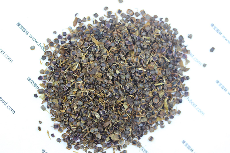 <a href='http:///caohuazhongzi/1568.html' target='_blank'>金雞菊種子</a>