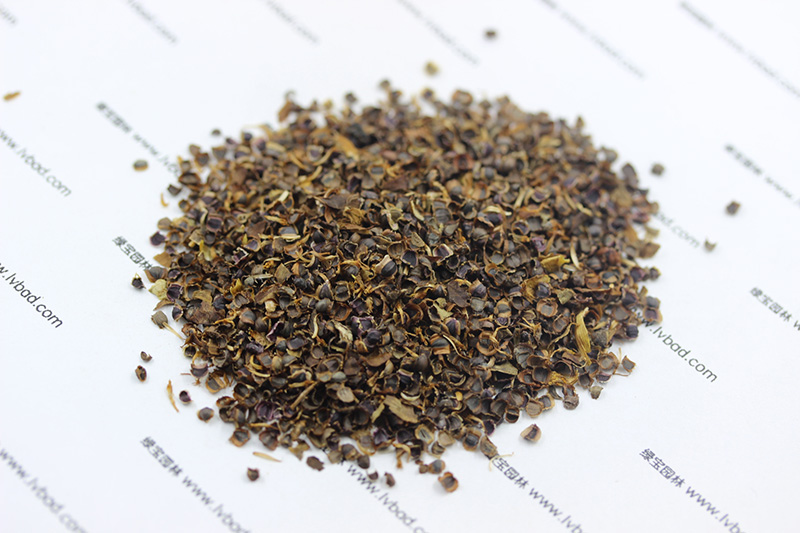 金雞菊<a href='http:///' target='_blank'>種子</a>