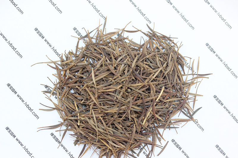 <a href='http:///caohuazhongzi/1583.html' target='_blank'>硫華菊種子</a>