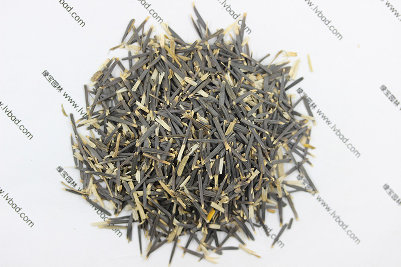 <a href='http:///caohuazhongzi/1631.html' target='_blank'>萬壽菊種子</a>