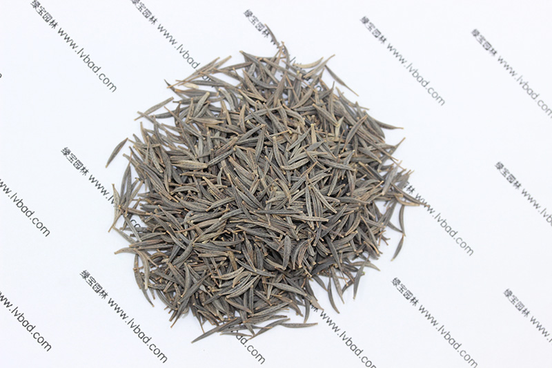 <a href='http:///caohuazhongzi/1054.html' target='_blank'>格?；ǚN子</a>