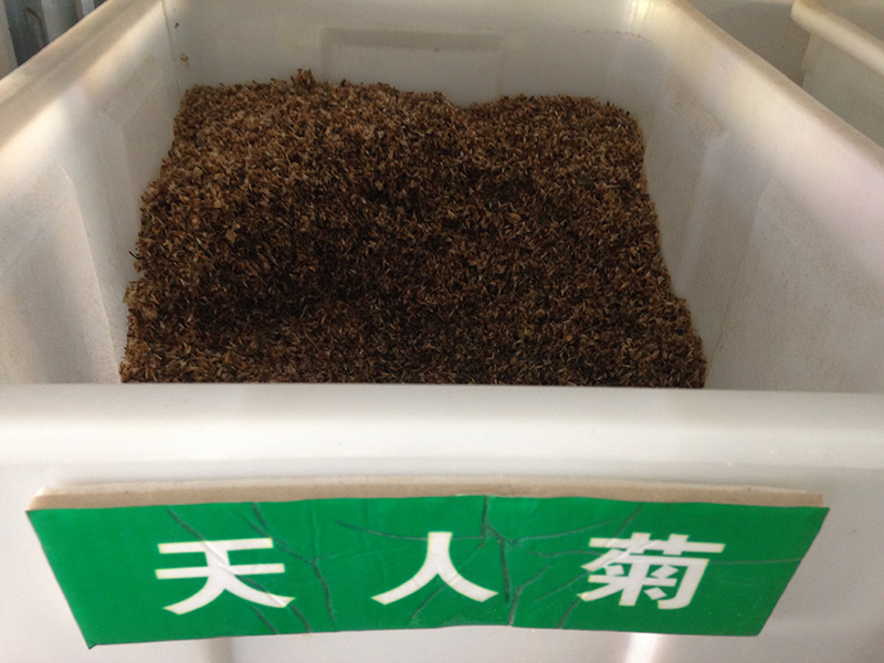 <a href='http:///caohuazhongzi/16044.html' target='_blank'>天人菊</a><a href='http:///' target='_blank'>種子</a>