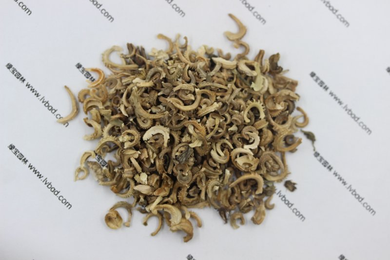 <a href='http:///caohuazhongzi/1571.html' target='_blank'>金盞菊</a><a href='http:///' target='_blank'>種子</a>圖片