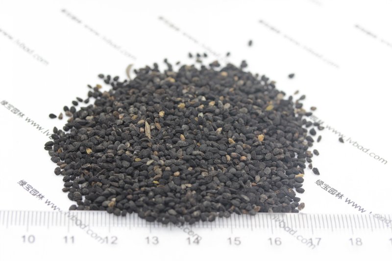 <a href='http:///caohuazhongzi/1061.html' target='_blank'>黑種草種子</a>